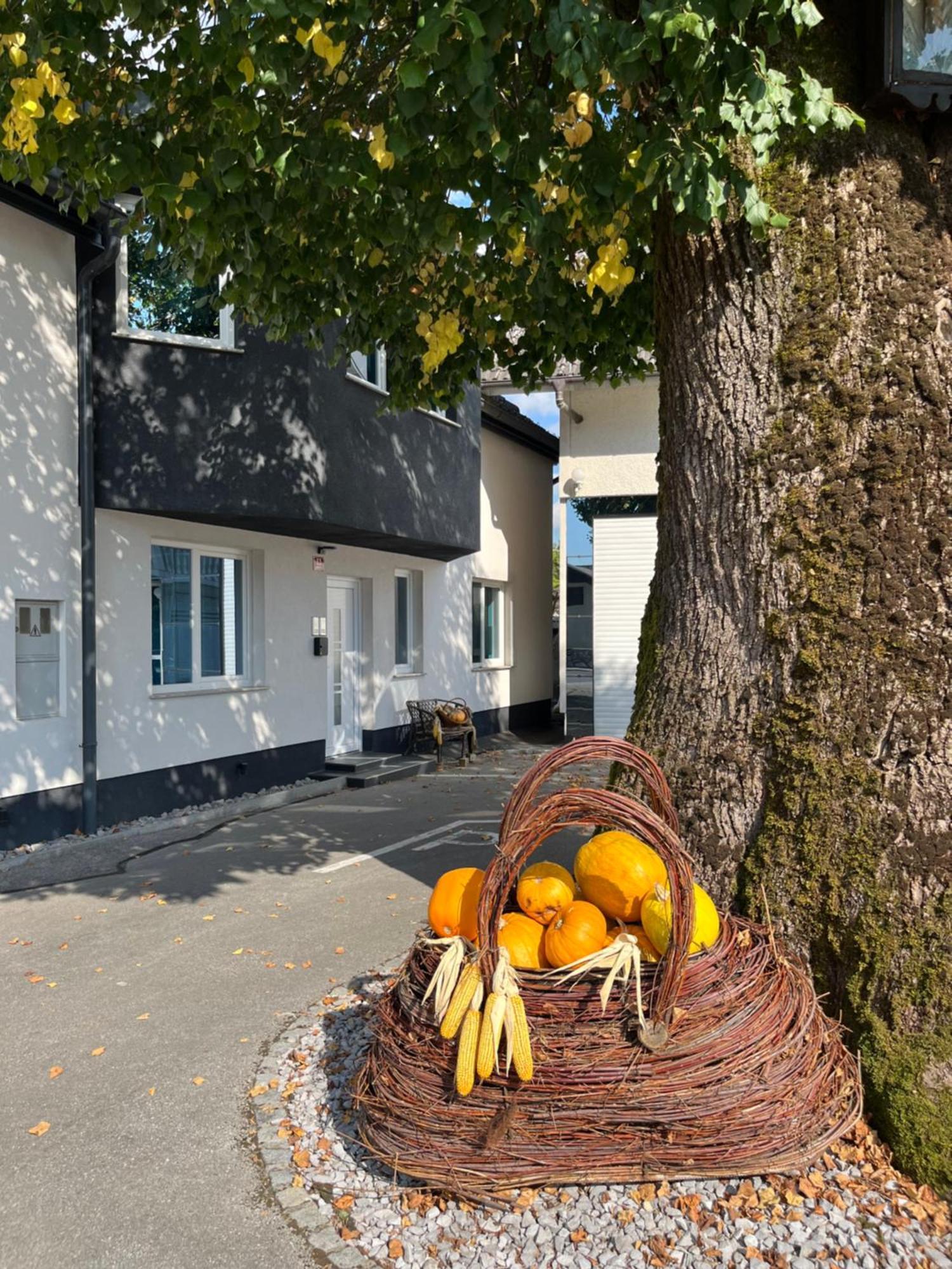 Apartment Linden Tree Kamnik