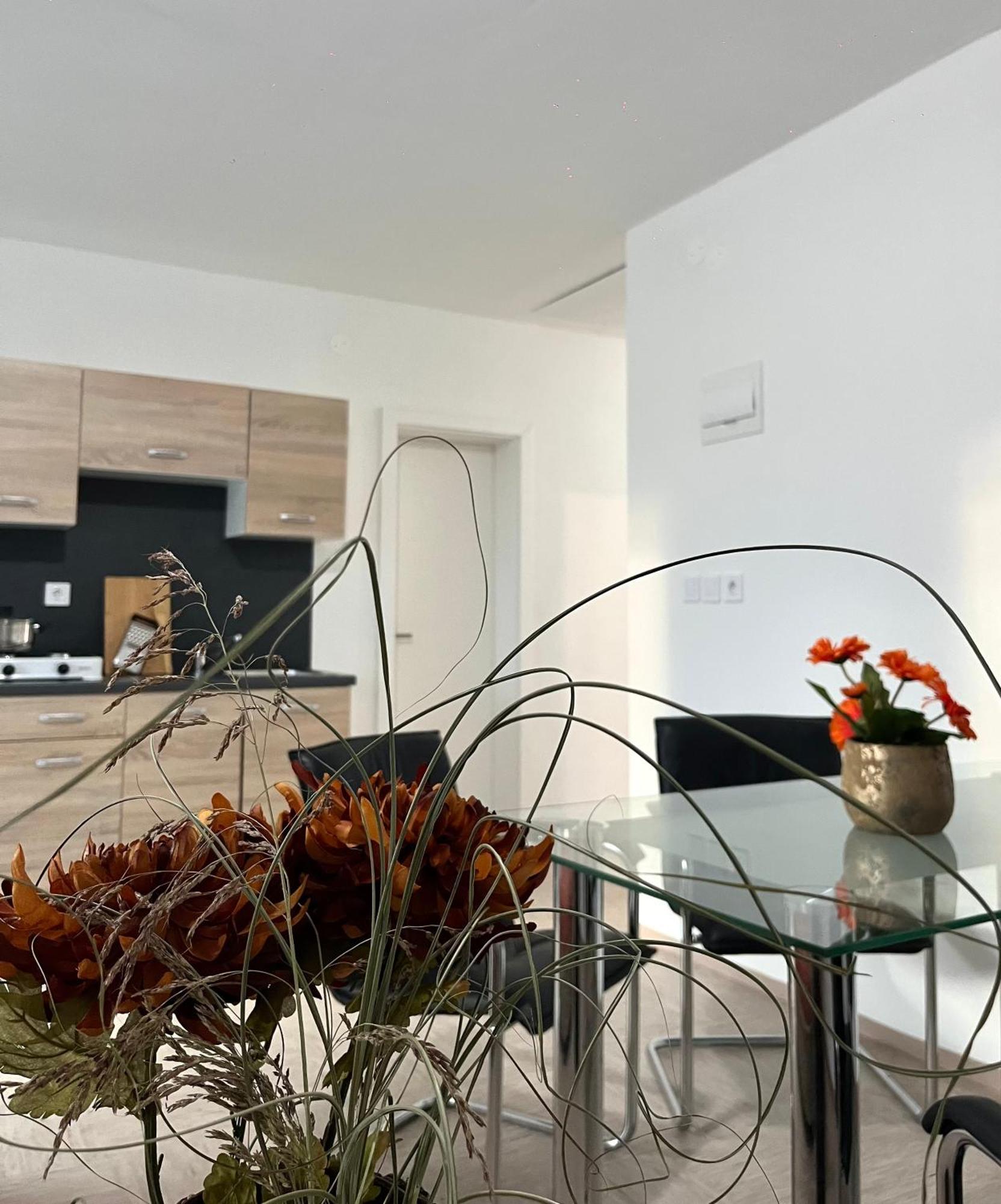 Linden Tree Apartment Kamnik