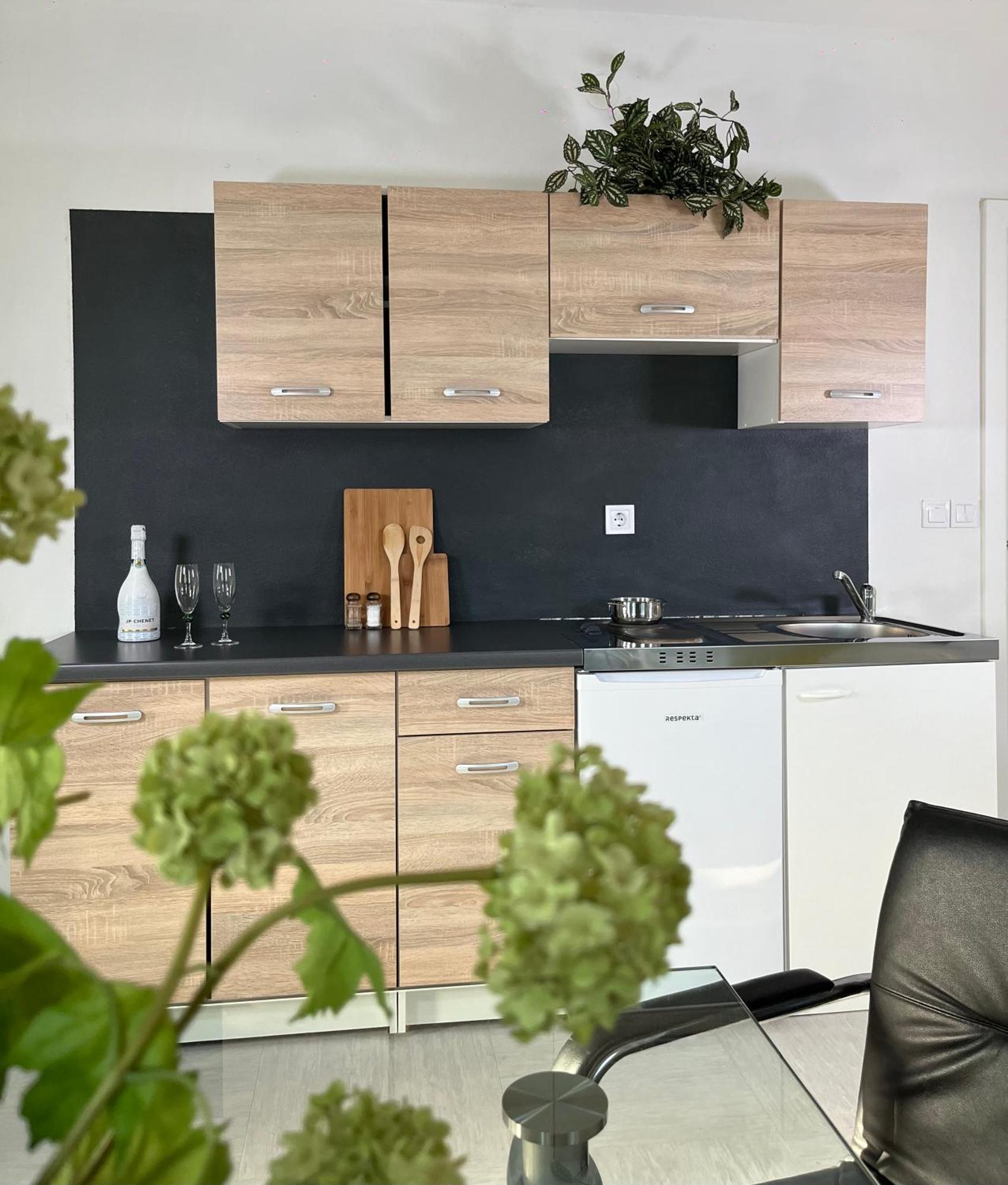 Linden Tree Apartment Kamnik