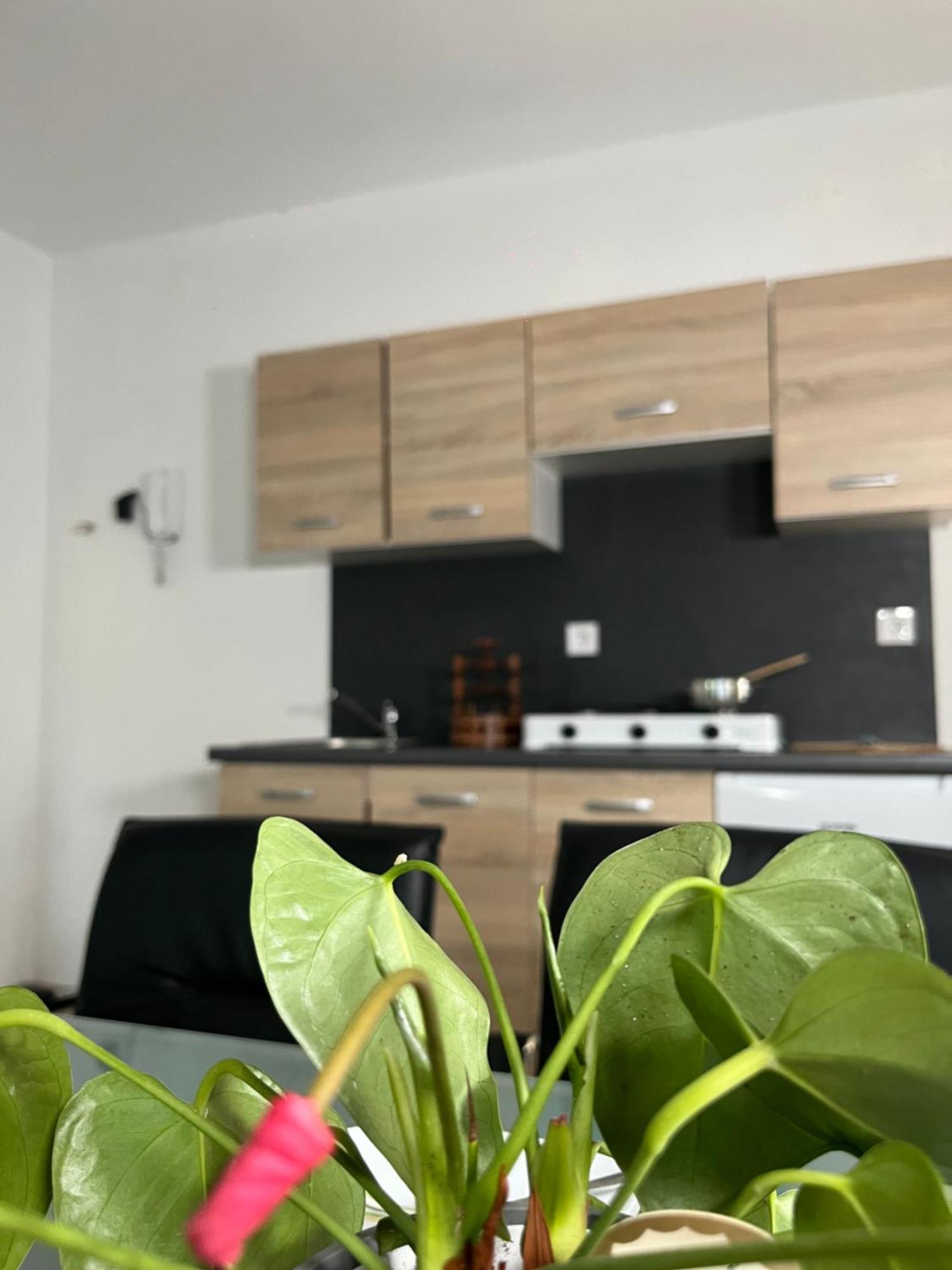 Apartment Linden Tree Kamnik